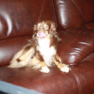 Meet your Posher, Melissa